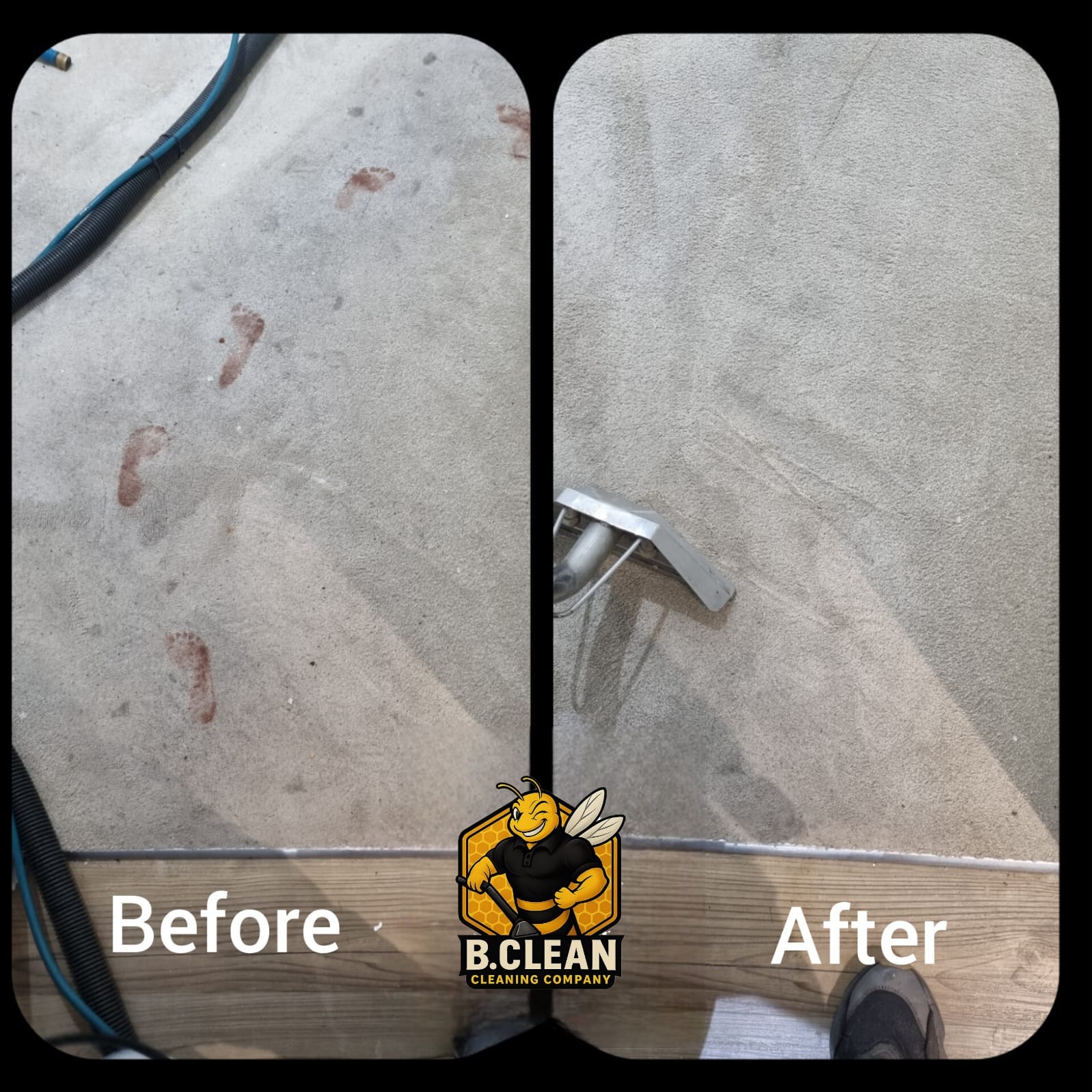 B Clean Cleaning Ltd photo
