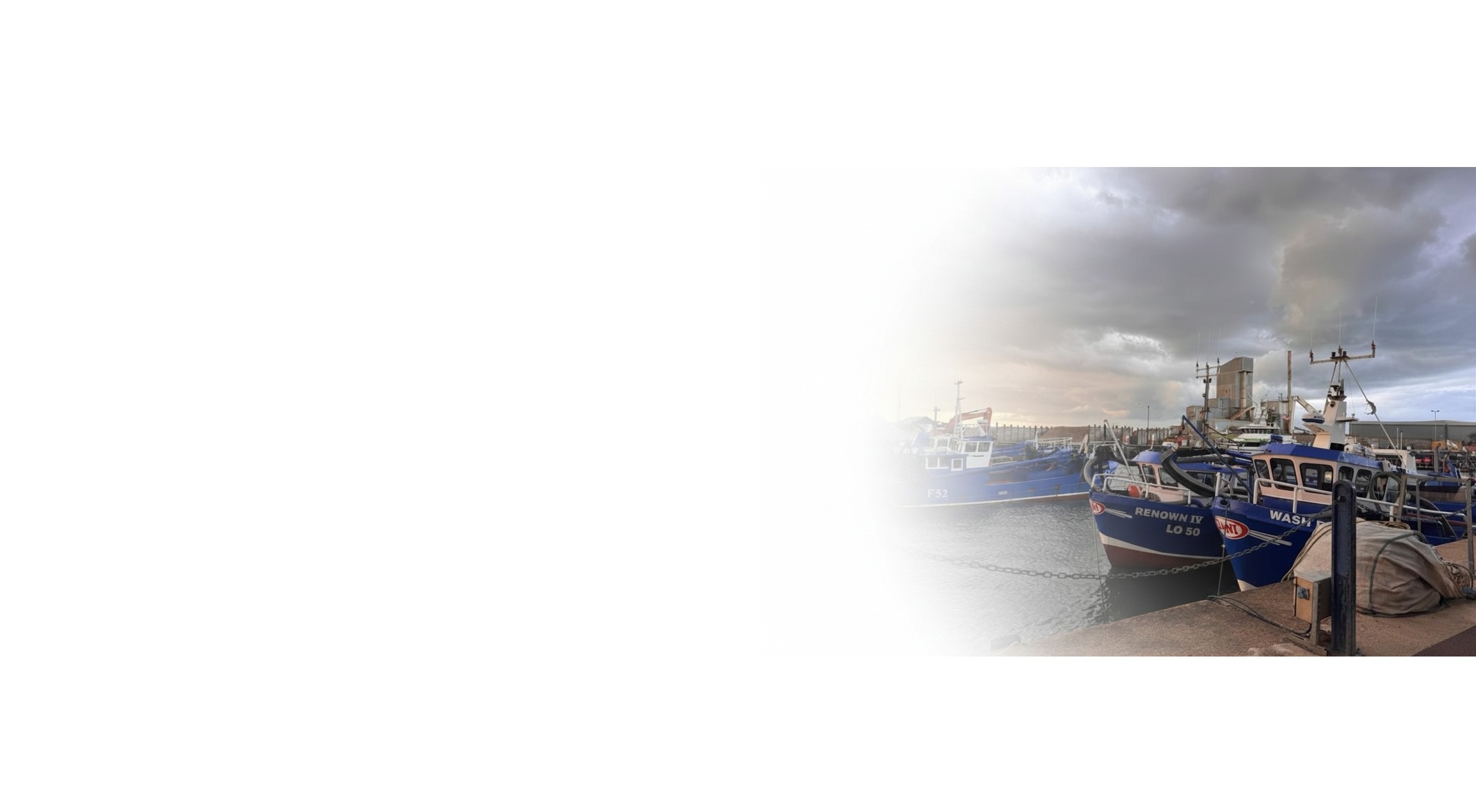 Discover Whitstable – Marketing and Creative Services