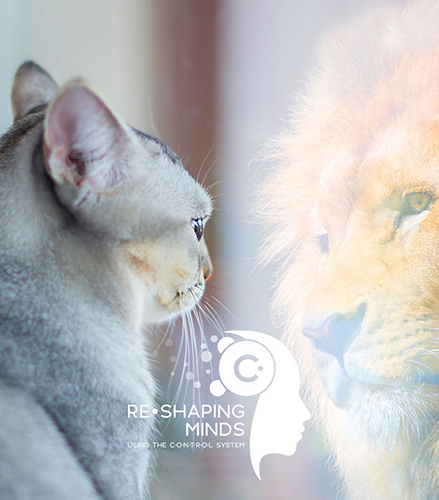 Re-Shaping Minds photo