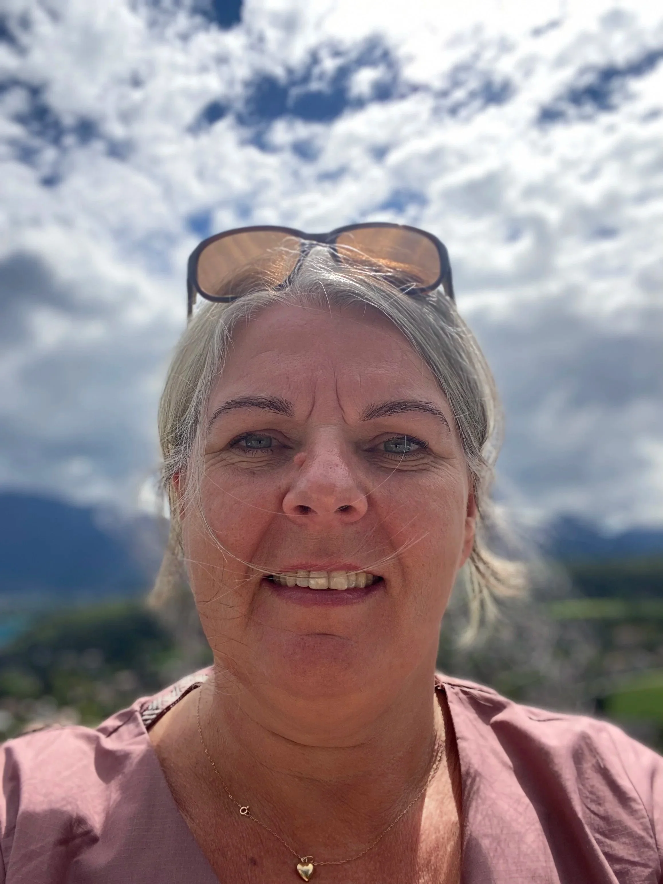 Michelles Counselling and Training photo