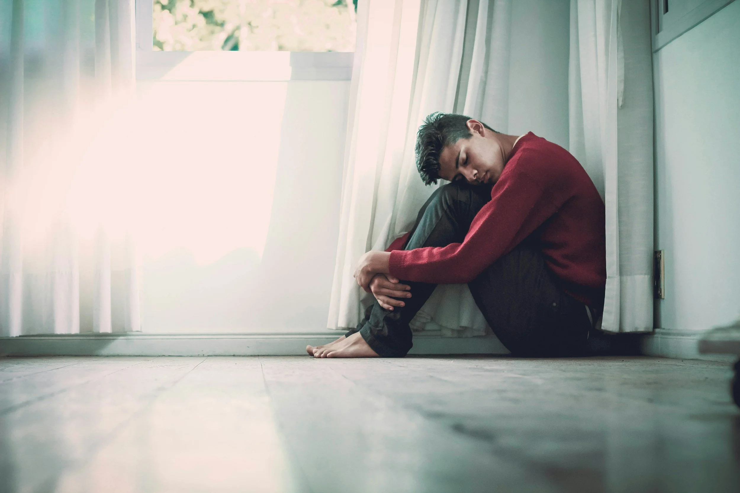 Michelles Counselling and Training photo