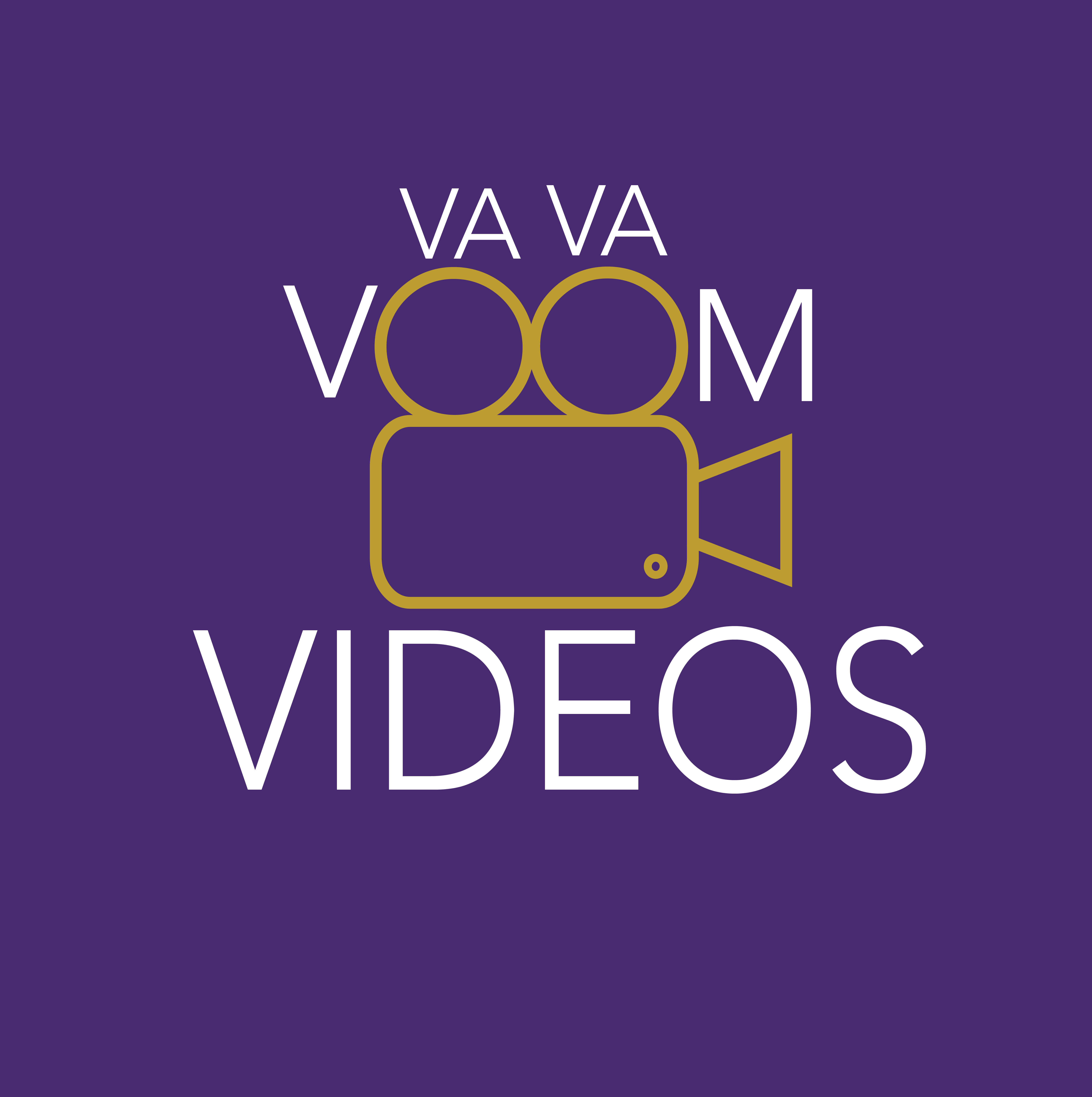 Va Va Voom Videos logo